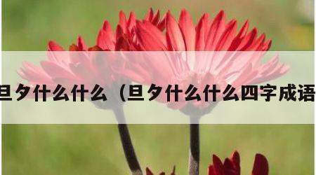 旦夕什么什么（旦夕什么什么四字成语）