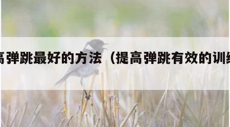 提高弹跳最好的方法（提高弹跳有效的训练方法）