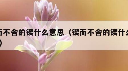 锲而不舍的锲什么意思（锲而不舍的锲什么意思?）