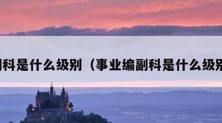 副科是什么级别（事业编副科是什么级别）