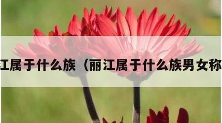 丽江属于什么族（丽江属于什么族男女称呼）