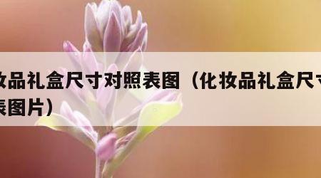 化妆品礼盒尺寸对照表图（化妆品礼盒尺寸对照表图片）