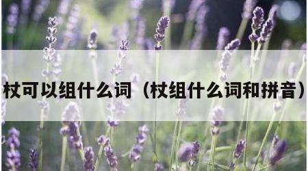 杖可以组什么词（杖组什么词和拼音）