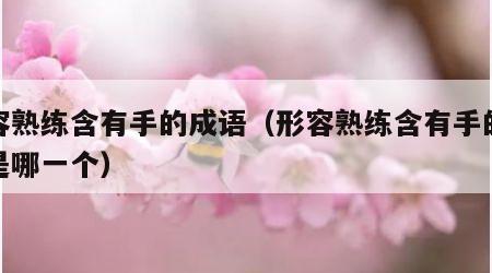 形容熟练含有手的成语（形容熟练含有手的成语是哪一个）