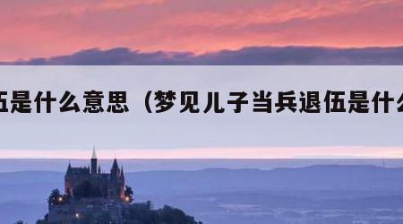 退伍是什么意思（梦见儿子当兵退伍是什么意思）