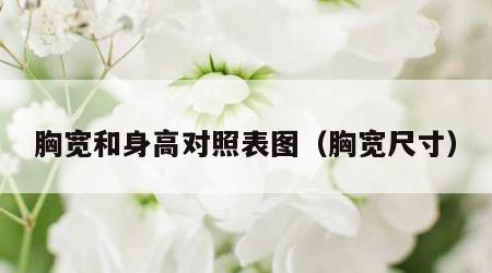 胸宽和身高对照表图（胸宽尺寸）