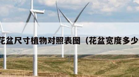 花盆尺寸植物对照表图（花盆宽度多少）