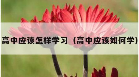 高中应该怎样学习（高中应该如何学）