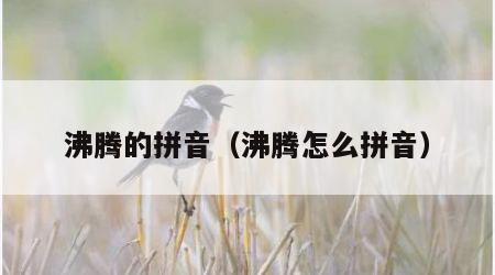 沸腾的拼音（沸腾怎么拼音）