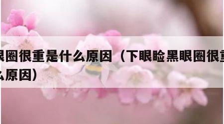 黑眼圈很重是什么原因（下眼睑黑眼圈很重是什么原因）