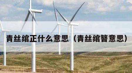 青丝绾正什么意思（青丝绾簪意思）