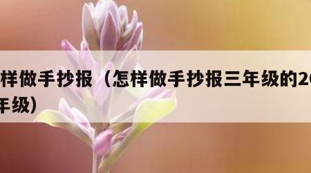 怎样做手抄报（怎样做手抄报三年级的2025年级）