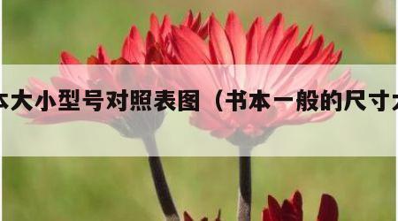 书本大小型号对照表图（书本一般的尺寸大小）