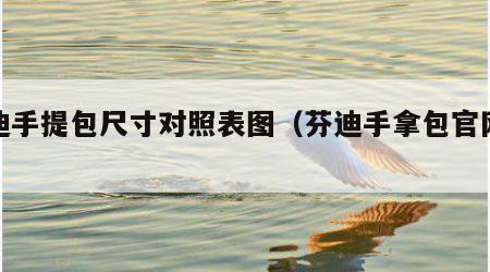 芬迪手提包尺寸对照表图（芬迪手拿包官网价格）