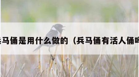 兵马俑是用什么做的（兵马俑有活人俑吗）