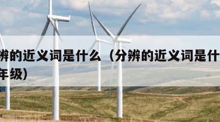 分辨的近义词是什么（分辨的近义词是什么 五年级）