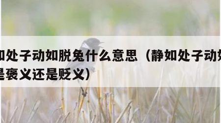 静如处子动如脱兔什么意思（静如处子动如脱兔是褒义还是贬义）