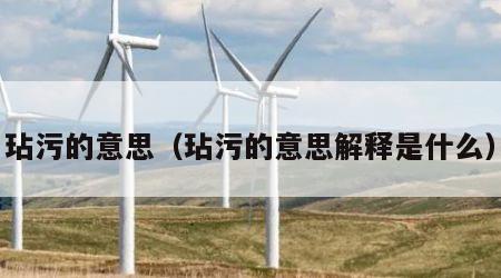 玷污的意思（玷污的意思解释是什么）