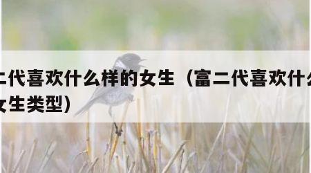 富二代喜欢什么样的女生（富二代喜欢什么样的女生类型）