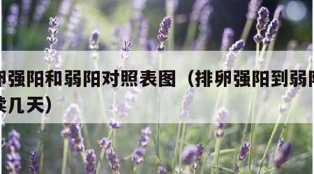 排卵强阳和弱阳对照表图（排卵强阳到弱阳会持续几天）