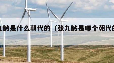 张九龄是什么朝代的（张九龄是哪个朝代的诗人）