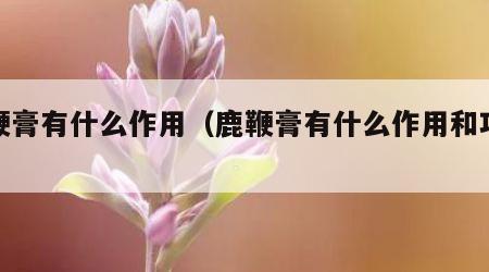 鹿鞭膏有什么作用（鹿鞭膏有什么作用和功效）