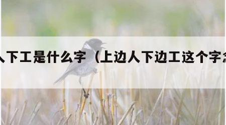 上人下工是什么字（上边人下边工这个字念什么）