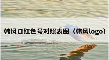 韩风口红色号对照表图（韩风logo）