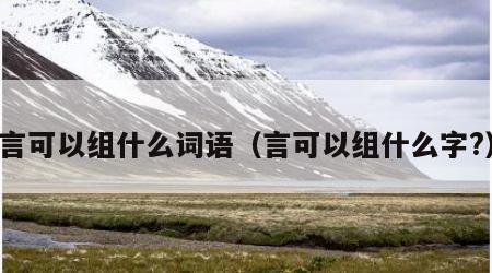 言可以组什么词语（言可以组什么字?）
