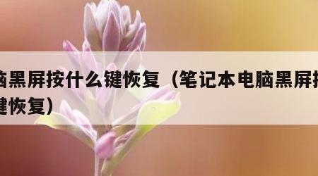 电脑黑屏按什么键恢复（笔记本电脑黑屏按什么键恢复）