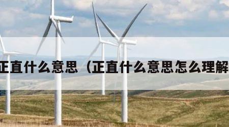 正直什么意思（正直什么意思怎么理解）