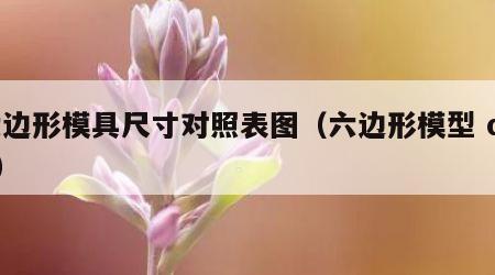 六边形模具尺寸对照表图（六边形模型 ddd）