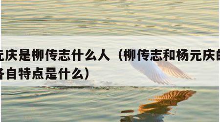 杨元庆是柳传志什么人（柳传志和杨元庆的领导各自特点是什么）