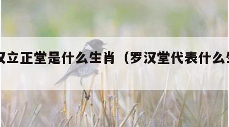 罗汉立正堂是什么生肖（罗汉堂代表什么生肖）