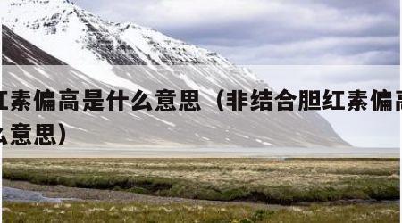 胆红素偏高是什么意思（非结合胆红素偏高是什么意思）