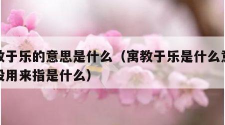 寓教于乐的意思是什么（寓教于乐是什么意思一般用来指是什么）