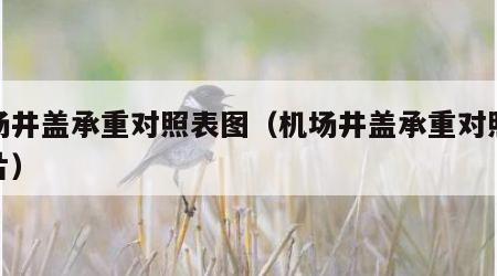 机场井盖承重对照表图（机场井盖承重对照表图片）