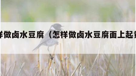 怎样做卤水豆腐（怎样做卤水豆腐面上起黄皮呢）