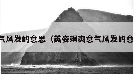 意气风发的意思（英姿飒爽意气风发的意思）