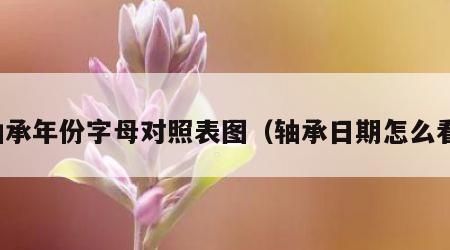 轴承年份字母对照表图（轴承日期怎么看）