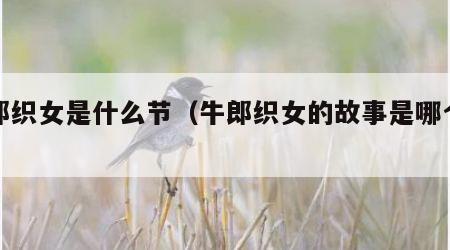 牛郎织女是什么节（牛郎织女的故事是哪个节日）