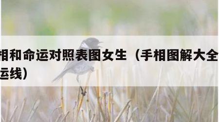 手相和命运对照表图女生（手相图解大全女 命运线）