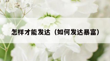怎样才能发达（如何发达暴富）