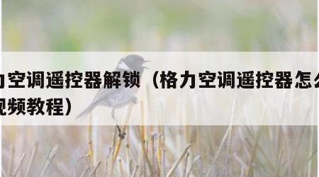 格力空调遥控器解锁（格力空调遥控器怎么解锁视频教程）