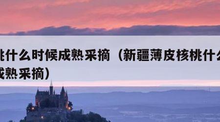 核桃什么时候成熟采摘（新疆薄皮核桃什么时候成熟采摘）