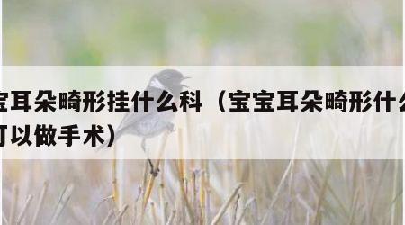 宝宝耳朵畸形挂什么科（宝宝耳朵畸形什么时候可以做手术）