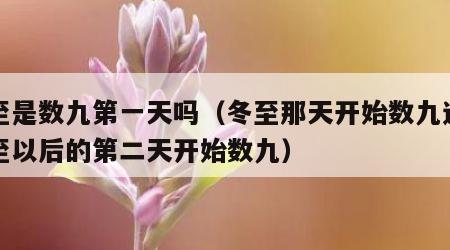 冬至是数九第一天吗（冬至那天开始数九还是冬至以后的第二天开始数九）