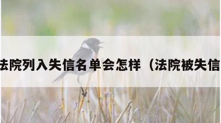被法院列入失信名单会怎样（法院被失信人）