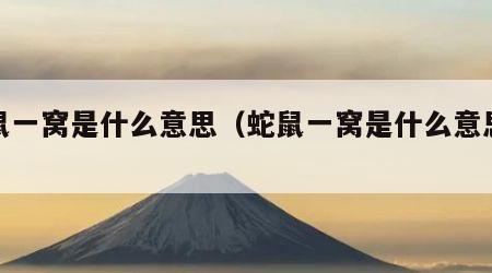 蛇鼠一窝是什么意思（蛇鼠一窝是什么意思解释）