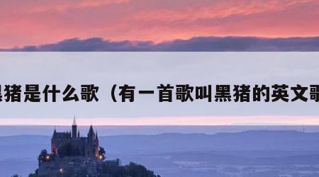 黑猪是什么歌（有一首歌叫黑猪的英文歌）